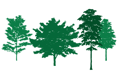 trees icon